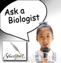 Ask a Biologist Podcast - Silver Quill 2008